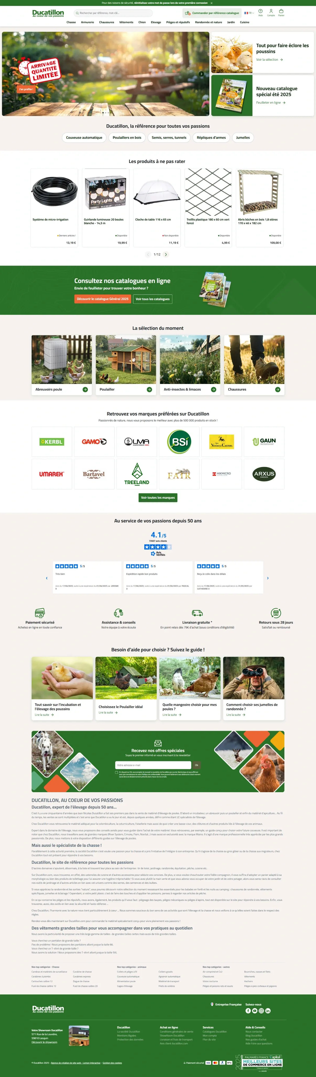 Illustration du projet Ducatillon réalisé par Valentin Dievart